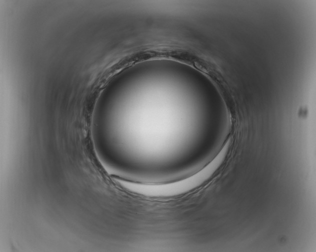 X0000114631253200910201412