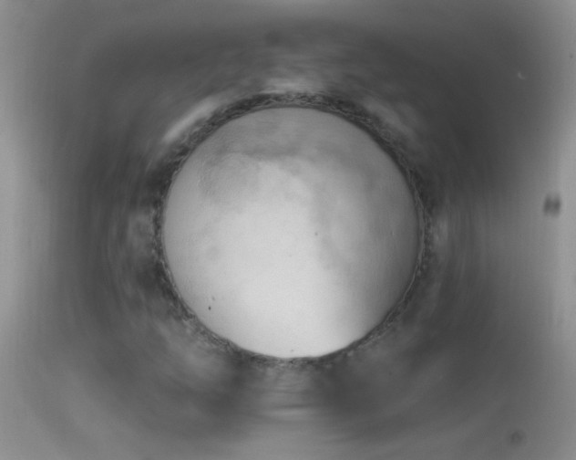 X0000114631254200910201412