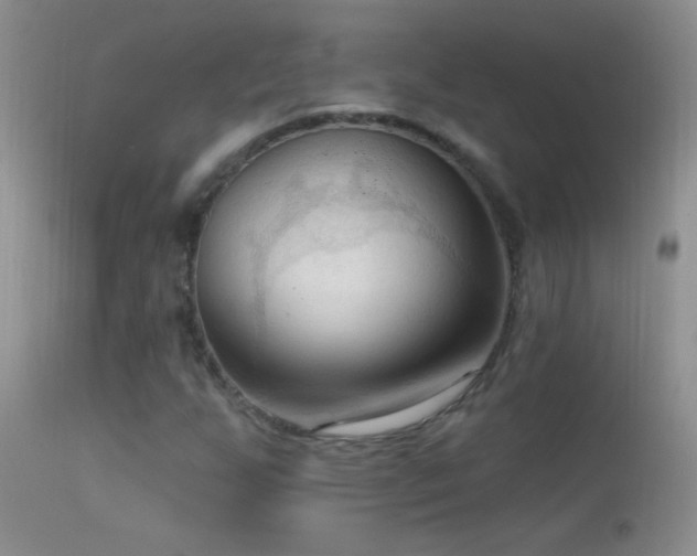 X0000114631255200910201412