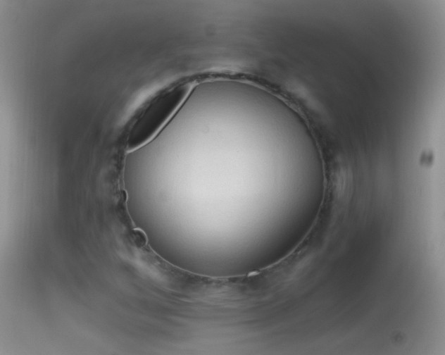 X0000114631256200910201412