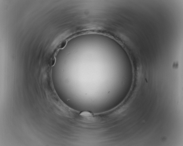 X0000114631257200910201412