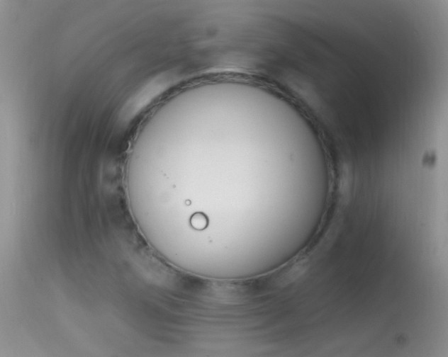 X0000114631258200910201412