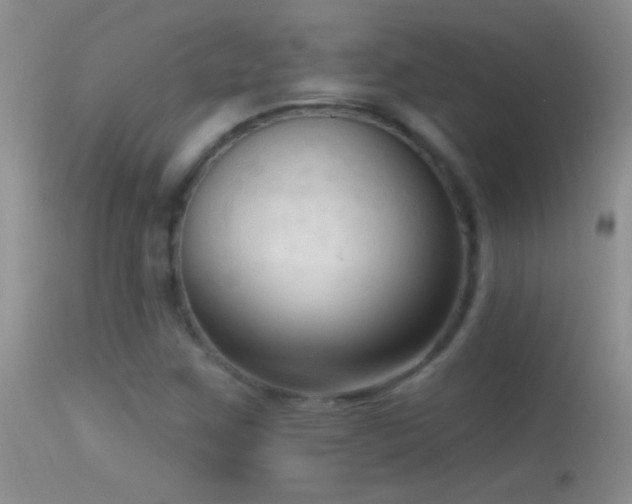 X0000114631259200910201412