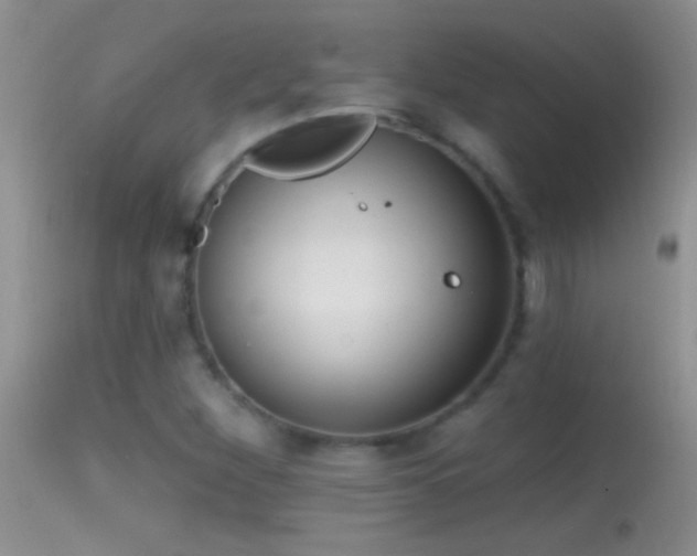 X0000114631260200910201412