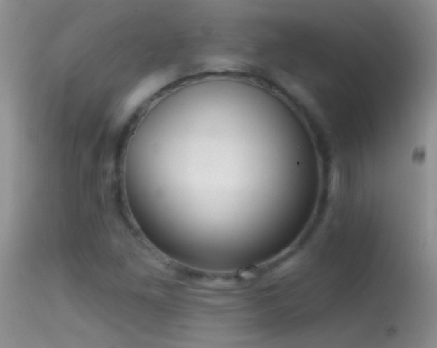 X0000114631261200910201412