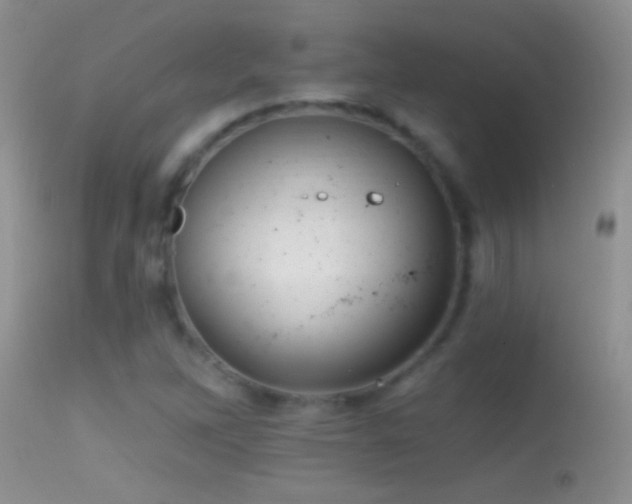 X0000114631262200910201412