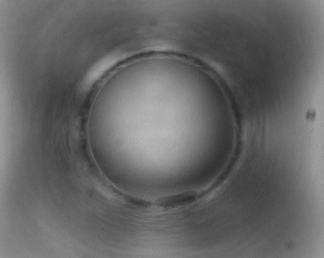 X0000114631263200910201412