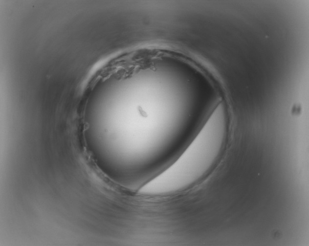 X0000114631264200910201412