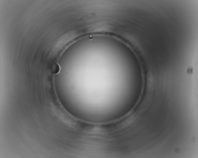 X0000114631265200910201412