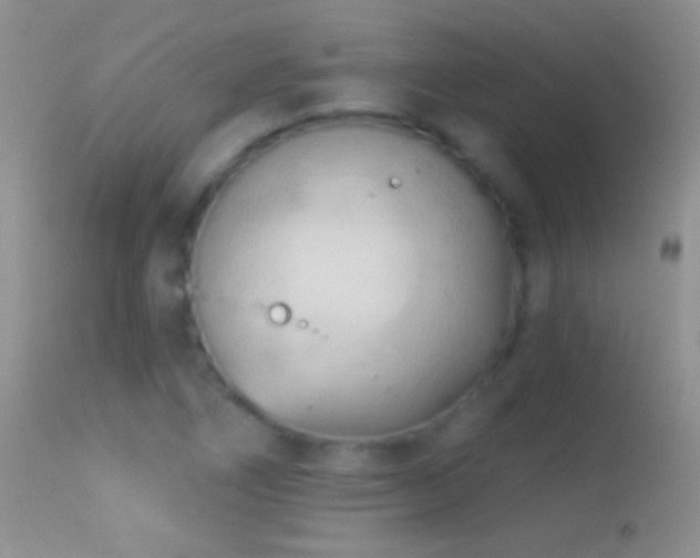 X0000114631266200910201412