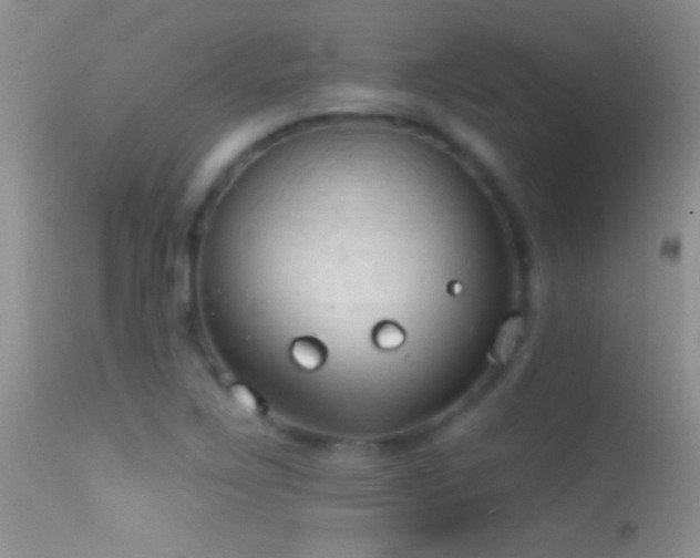 X0000114631267200910201412