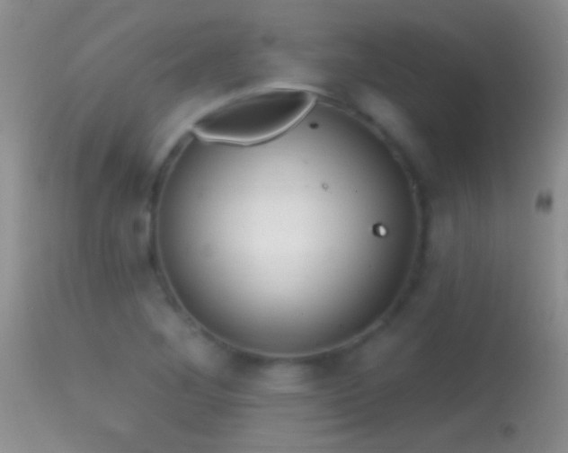 X0000114631268200910201412