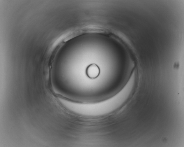 X0000114631269200910201412