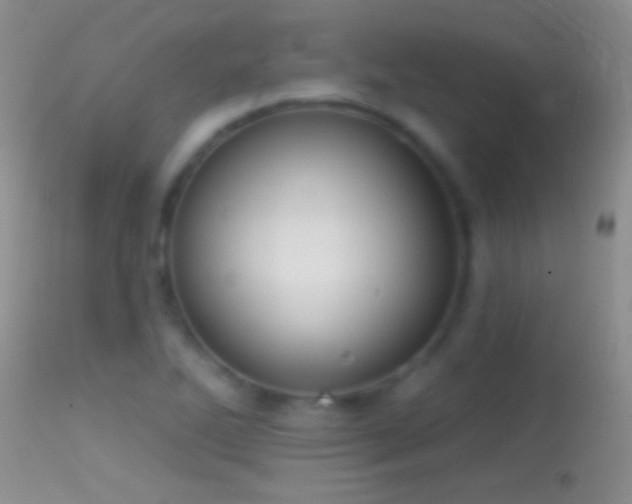 X0000114631270200910201412