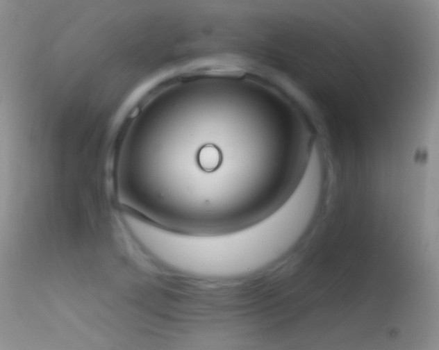 X0000114631272200910201412