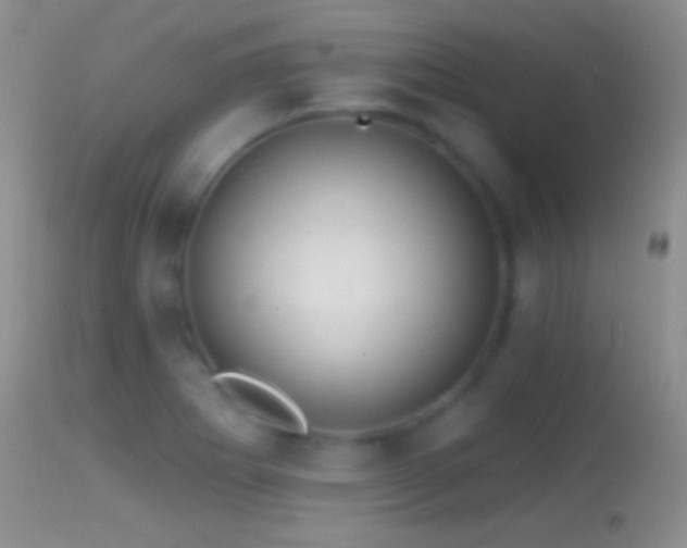 X0000114631273200910201412