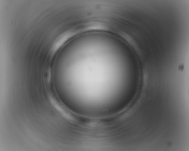 X0000114631274200910201412