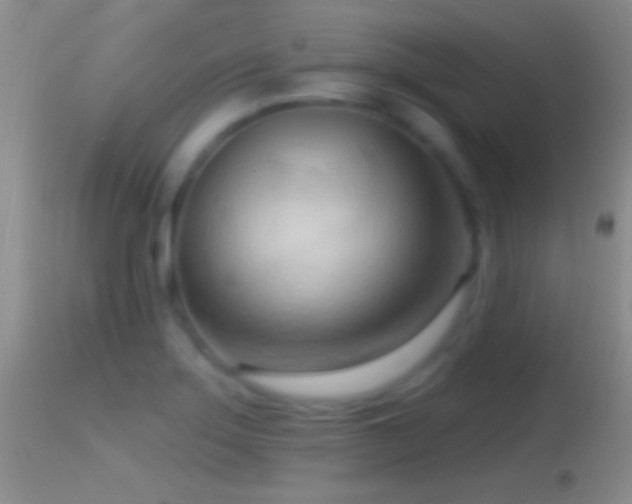 X0000114631275200910201412