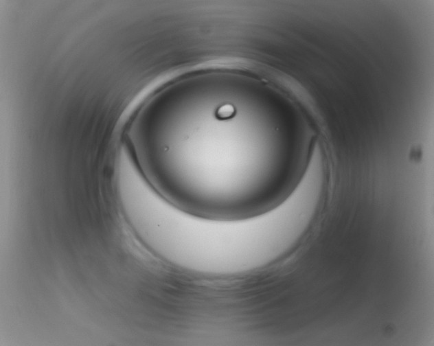 X0000114631276200910201412