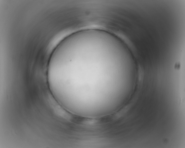 X0000114631278200910201412