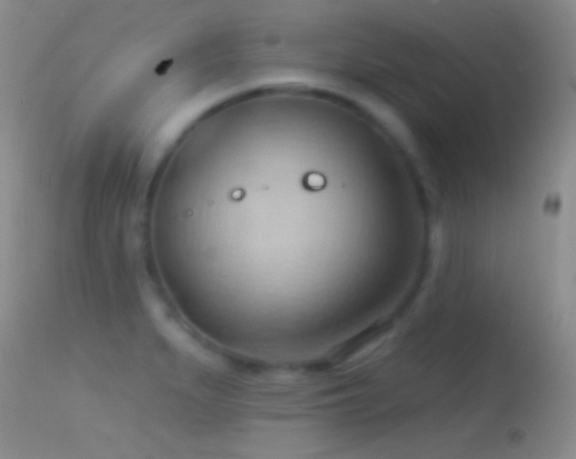 X0000114631279200910201412