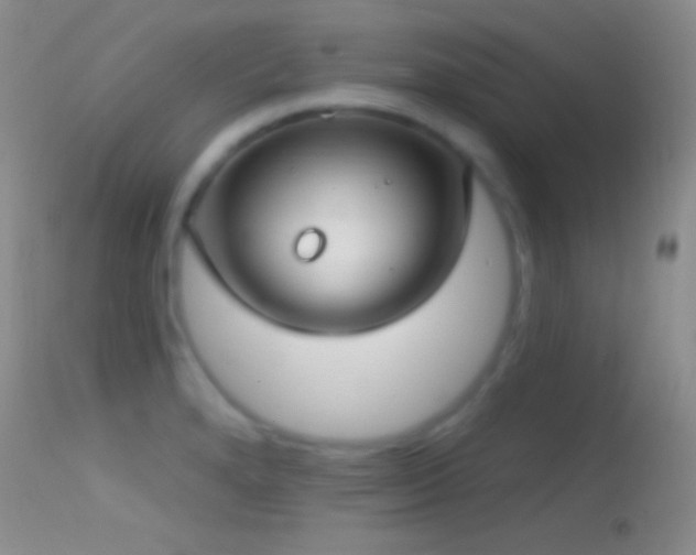 X0000114631280200910201412