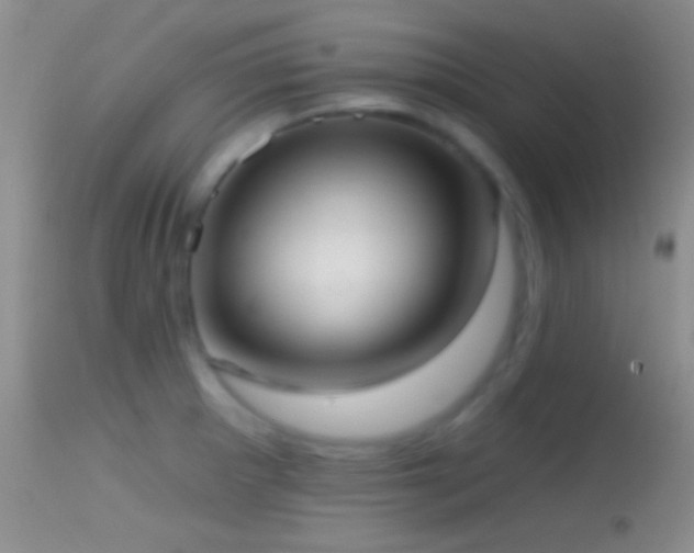 X0000114631281200910201412