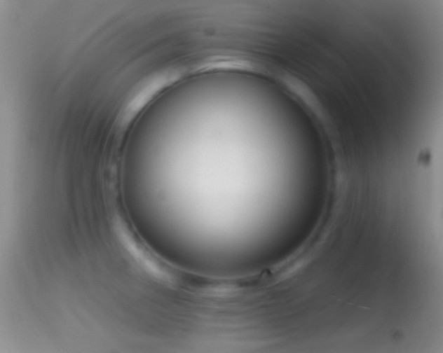 X0000114631282200910201412