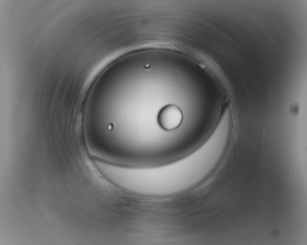 X0000114631284200910201411