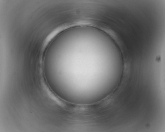 X0000114631286200910201411