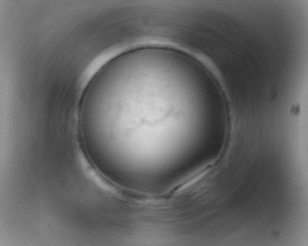 X0000114631287200910201411