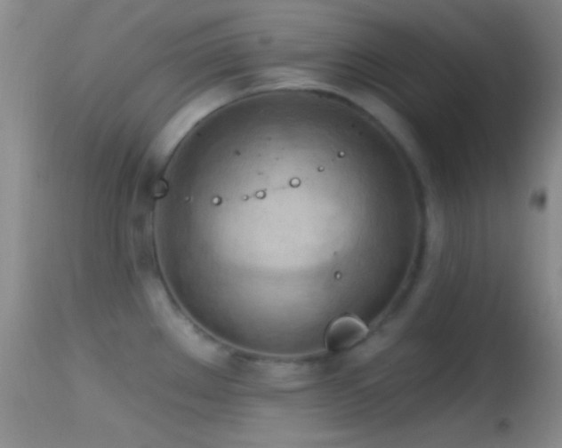 X0000114631289200910201411