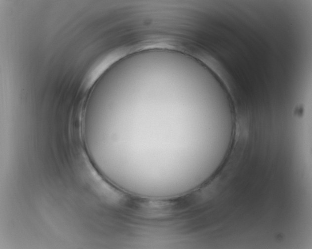 X0000114631290200910201411