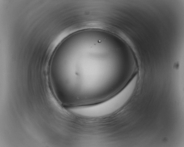 X0000114631291200910201411