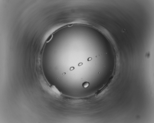 X0000114631292200910201411