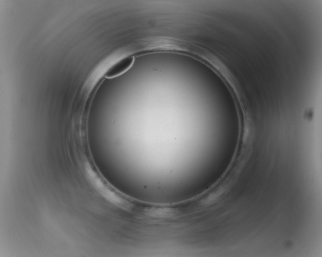 X0000114631293200910201411