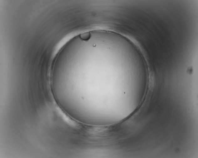 X0000114631294200910201411