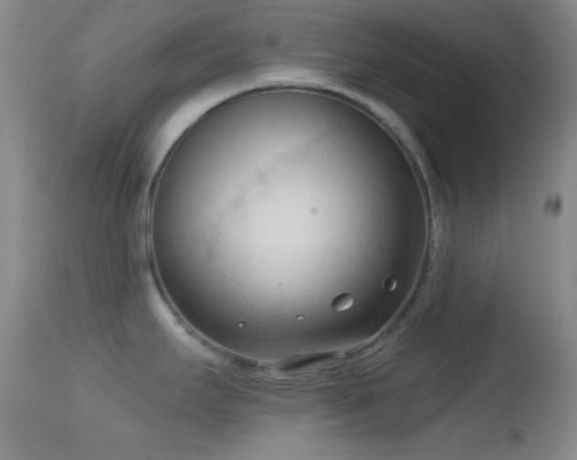 X0000114631295200910201411