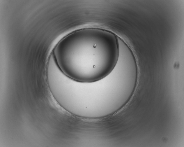 X0000114631296200910201411