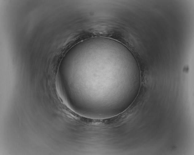 X0000114631297200910201411