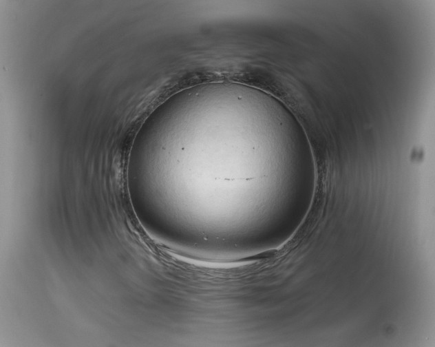 X0000114631298200910201411