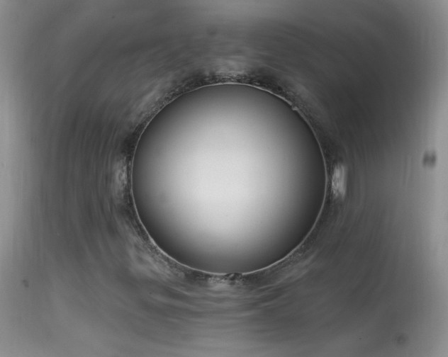 X0000114631299200910201411