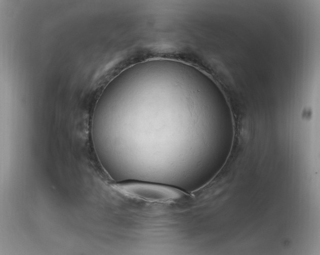 X0000114631301200910201411