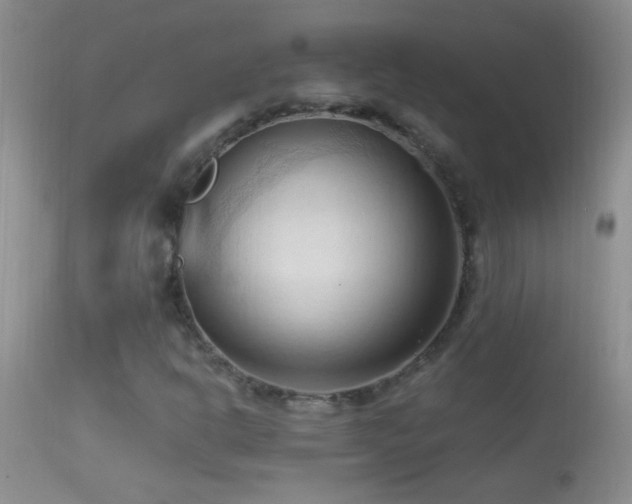 X0000114631302200910201411