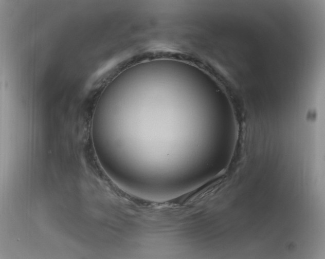 X0000114631303200910201411