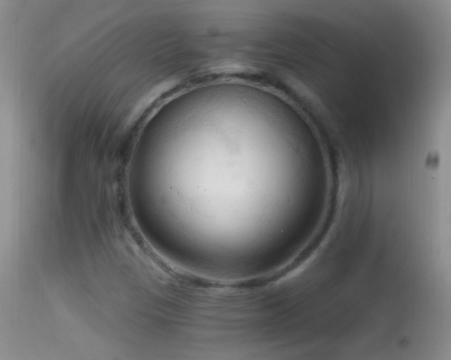 X0000114631305200910201411