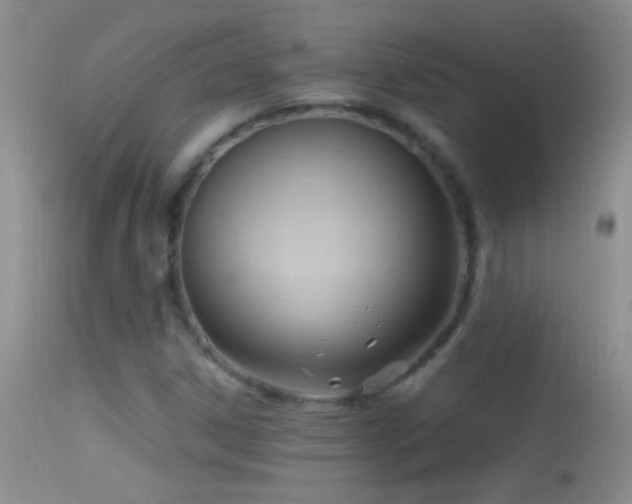 X0000114631306200910201411