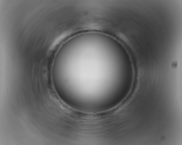 X0000114631307200910201411