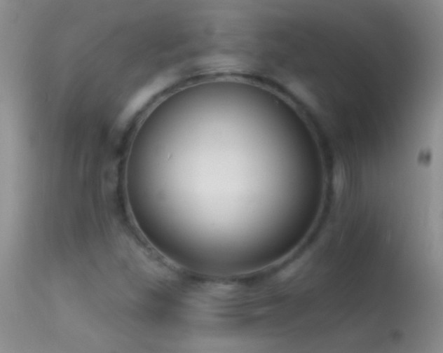 X0000114631309200910201411