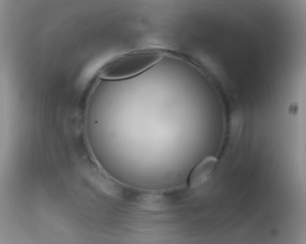 X0000114631310200910201411